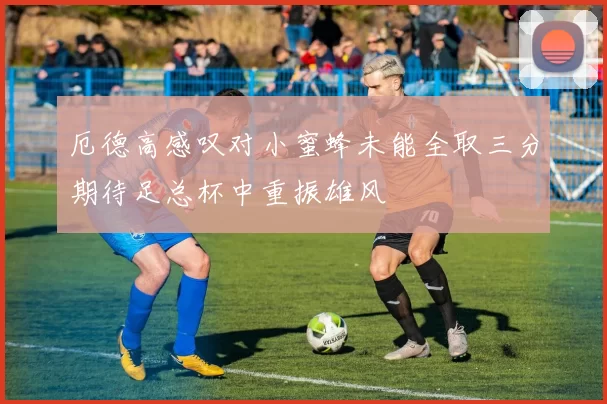 厄德高感叹对小蜜蜂未能全取三分期待足总杯中重振雄风